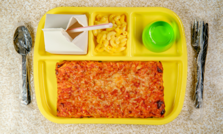 Unveiling the Reality of Ultra-Processed Foods in UK School Meals: A Call for Healthier Options